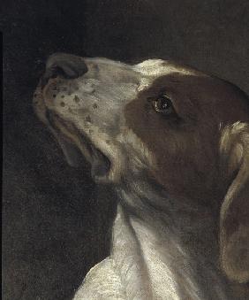 Reni / St.Roche / Detail: dog / c.1617