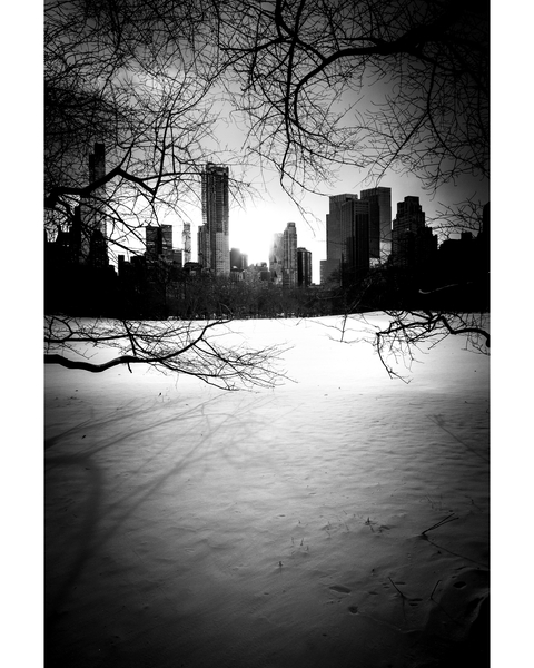 Central Park City & Trees N¬∫1 from Guilherme Pontes