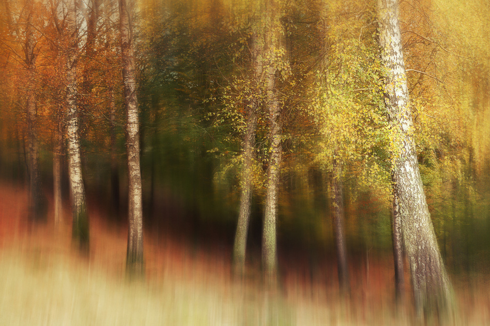 Herbstfarben from Gustav Davidsson