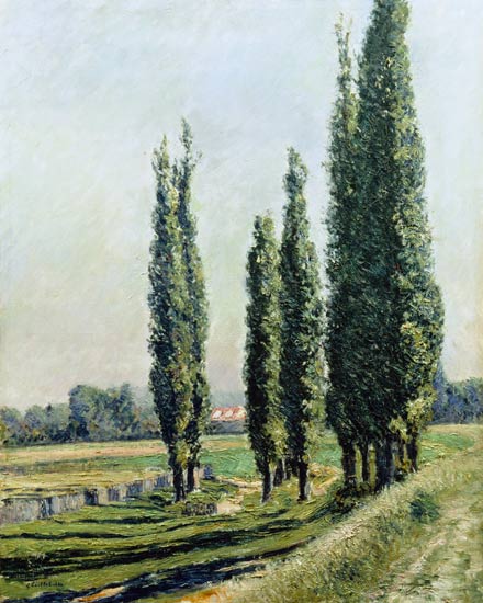 Pappeln auf dem Damm from Gustave Caillebotte