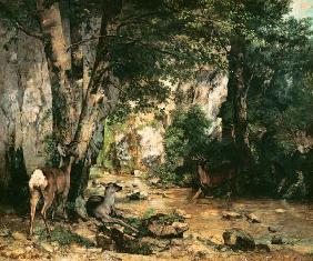 G.Courbet, Rehbockgehege