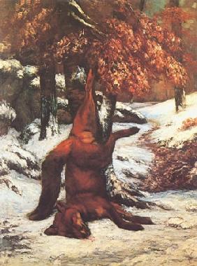 Renard suspendu a un arbre, dans la neige