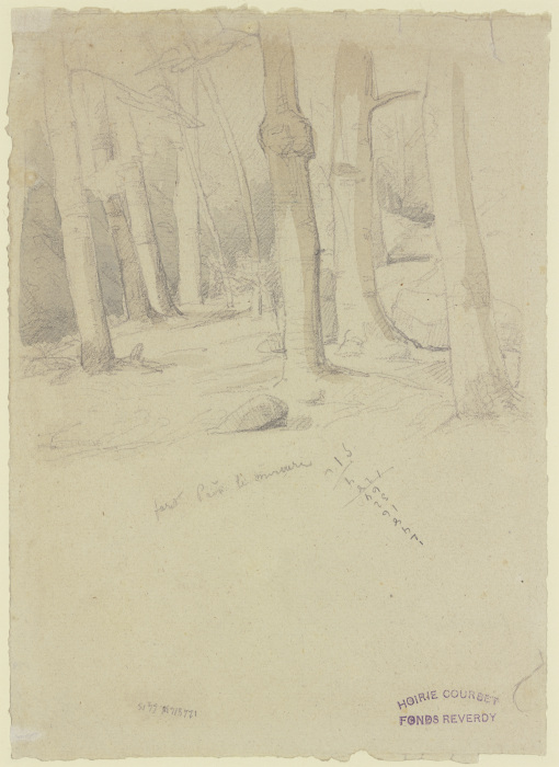 Waldinneres, nahe dem Merkur bei Baden-Baden from Gustave Courbet