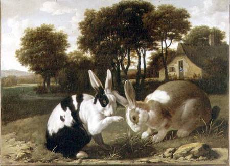 Two Rabbits in a Landscape from Haarlem School