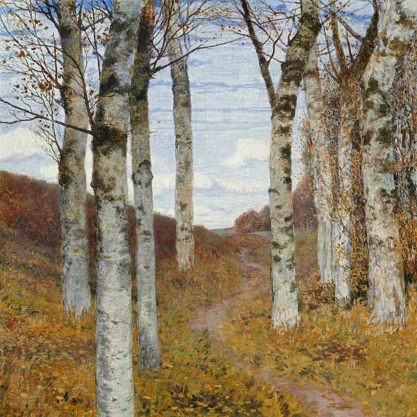 Birken im Herbst from Hans am Ende