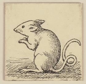 Zeichnung zur Fibel: Maus
