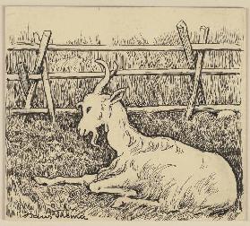 Zeichnung zur Fibel: Ziege