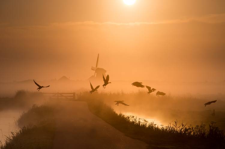 Sunrise Flight from Harm Klaverdijk