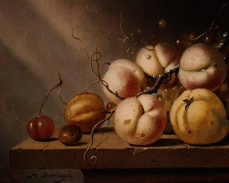Still life of fruit on a ledge (panel) from Harmen van Steenwyck