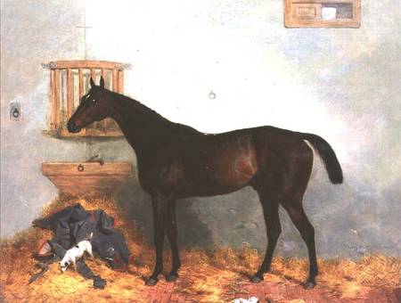Thoroughbred in a Stable from Harry Hall