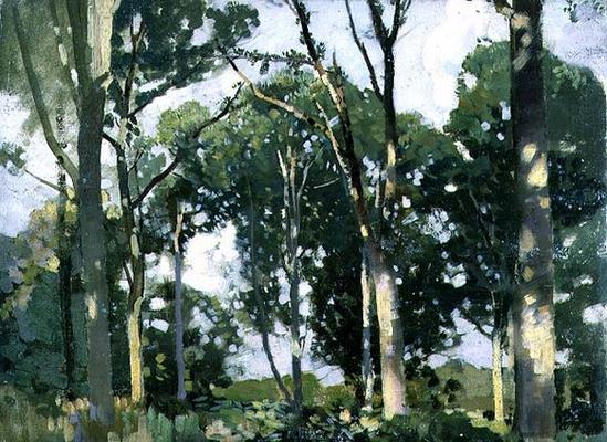 Trees in sunlight (panel) from Harry Watson