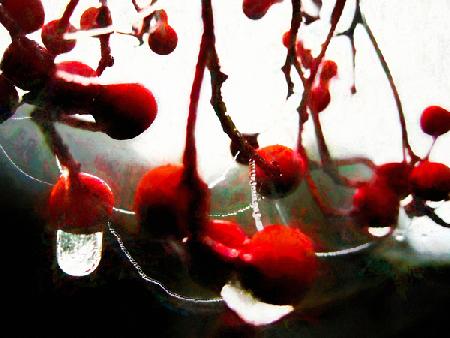 Lush Berries