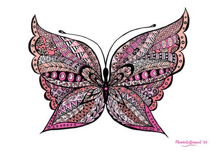 Butterfly