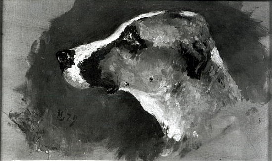 Head of a Dog with Short Ears from Henri de Toulouse-Lautrec
