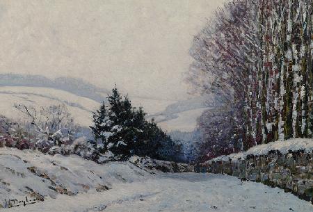 Winter Landscape 