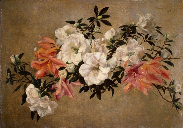 Petunias from Henri Fantin-Latour