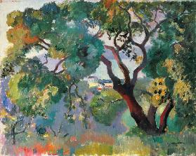 Landschaft in Saint-Tropez, 1905