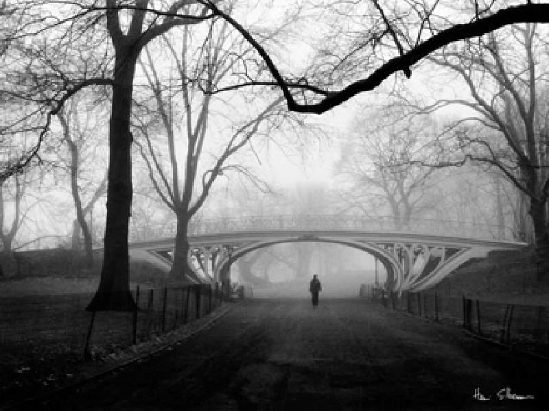 Gothic Bridge, Central Park NYC from Henri Silberman