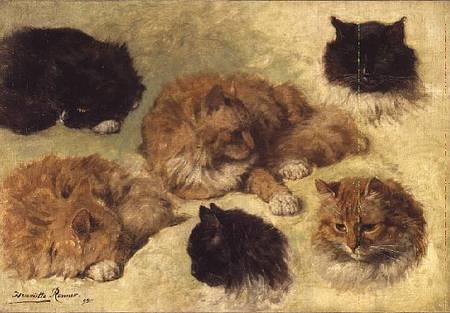 Studies of Cats from Henrietta Ronner-Knip