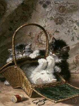 Kittens in a work basket