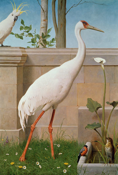 Indian Crane, Cockatoo, Bullfinch and Thrush from Henry Stacey Marks