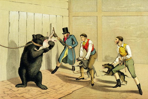 'Bear Baiting', pub. by Thomas McLean, 1820, (sporting print) from Henry Thomas Alken
