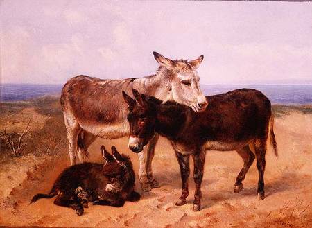 Sand Asses from Henry Weekes