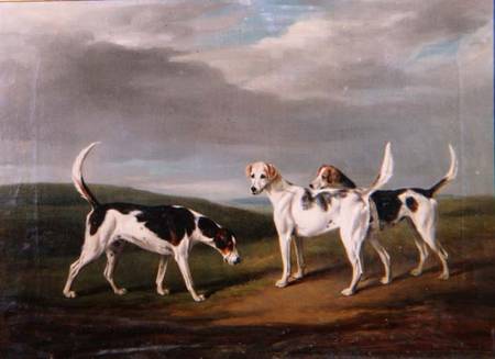 Foxhounds in a Landscape from Henry William Banks Davis