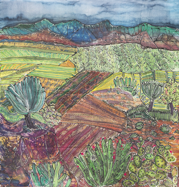 Oaxaca Landscape from Hilary  Simon