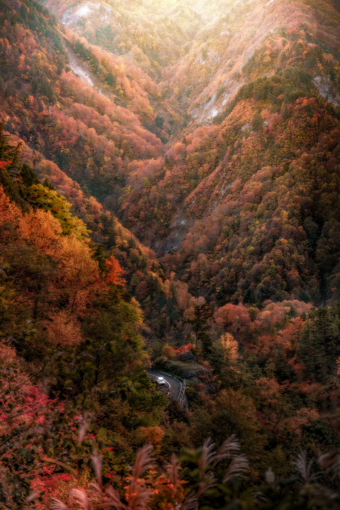 durch den Herbst laufen from まちゅばら/Hiroki Matsubara
