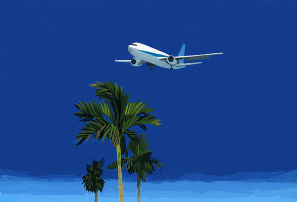 Airplane and palm tree from Hiroyuki Izutsu
