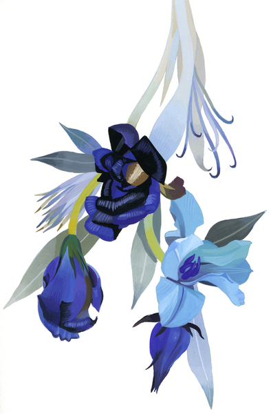 Flower drawn with blue tone from Hiroyuki Izutsu