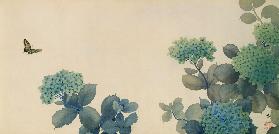Hydrangeas (Hortensien)