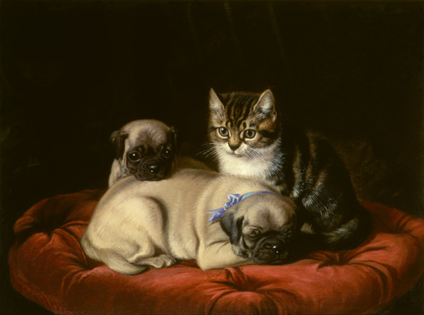 Zwei Möpse und ein Kätzchen from Horatio Henry Couldery
