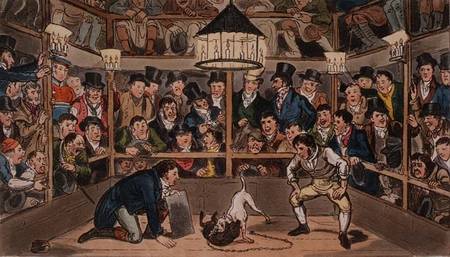 Tom and Jerry sporting their blunt on the phenomenon Monkey, Jacco Macacco, at the Westminster Pit, from I. Robert & George Cruikshank