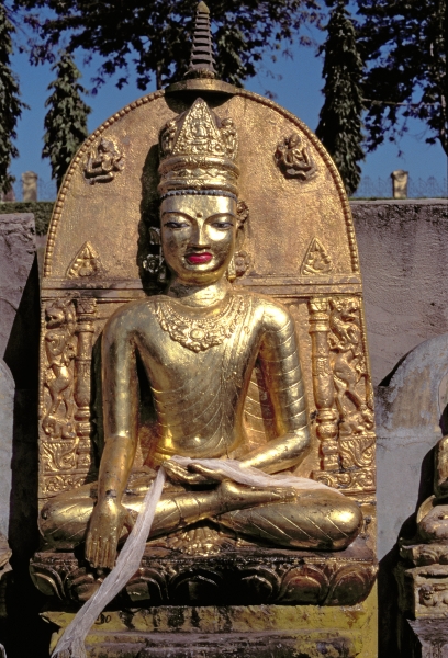 Buddha (gold)  from Indian School