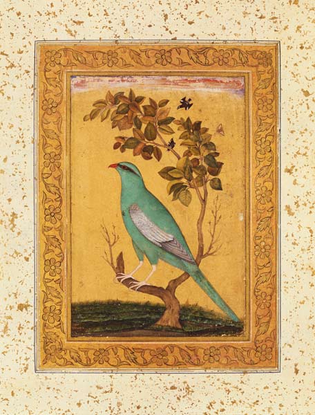 Green Bird, Mughal from Indian School
