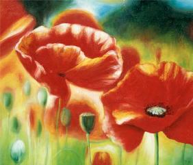 Mohn I