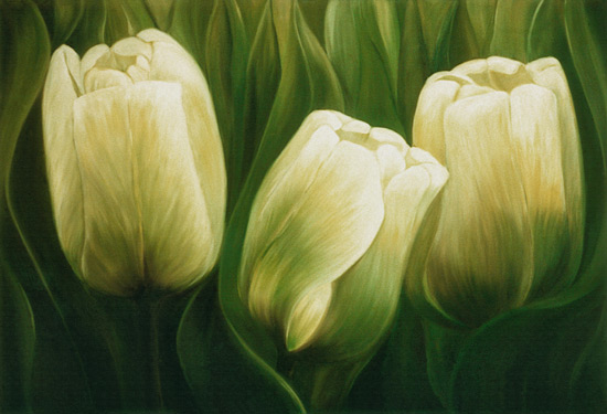 Tulpen from Ingeborg Kuhn