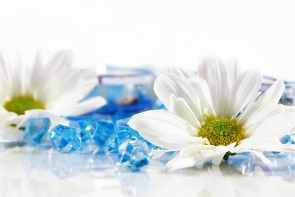 Wellness and aromatherapy from Ingrid Balabanova