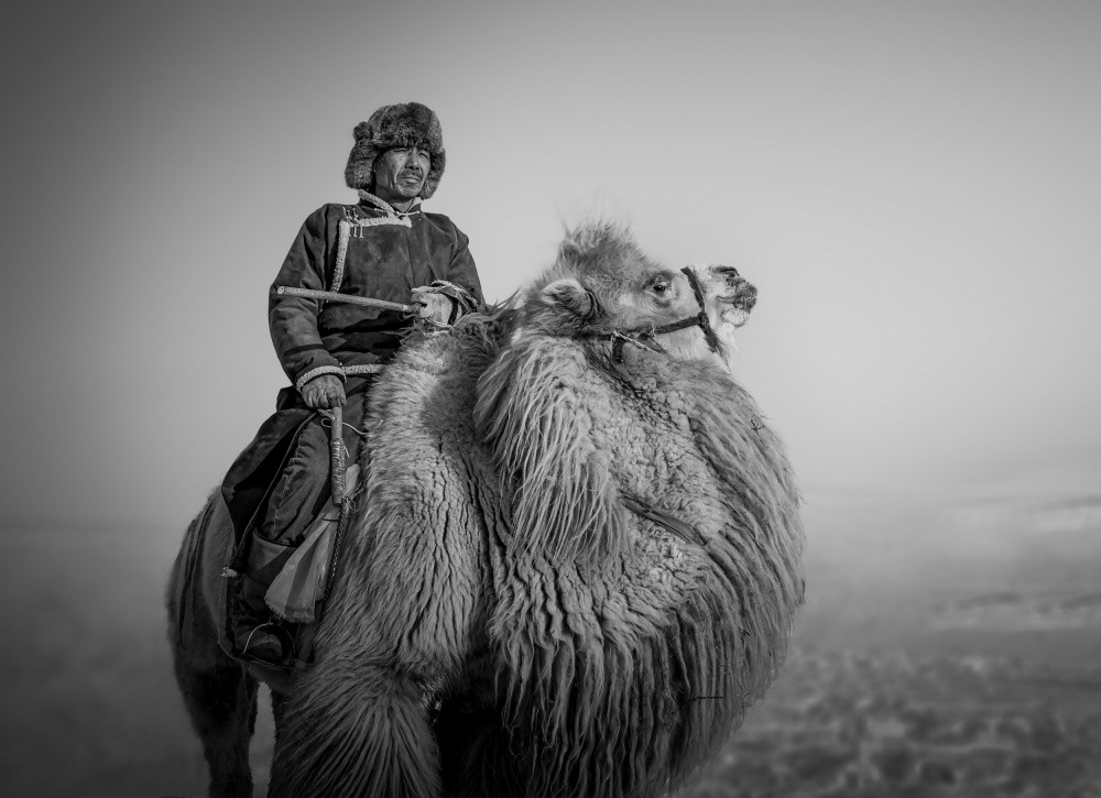 Bauer und sein Kamel from Irene Wu