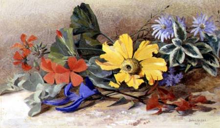 Still Life - mixed Flowers from Isabel Oakley Naftel