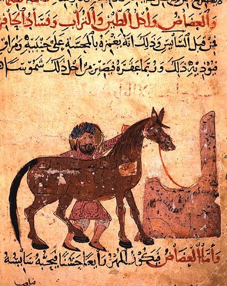 Caring for the horse, illustration from the 'Book of Farriery' by Ahmed ibn al-Husayn ibn al-Ahnaf from Islamic School