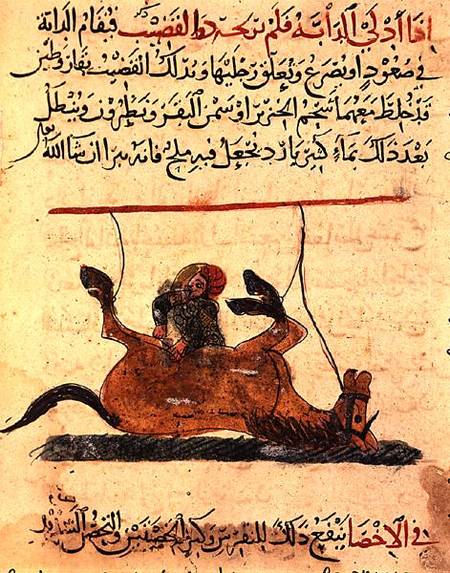 Operation on a horse, illustration from the 'Book of Farriery' by Ahmed ibn al-Husayn ibn al-Ahnaf from Islamic School