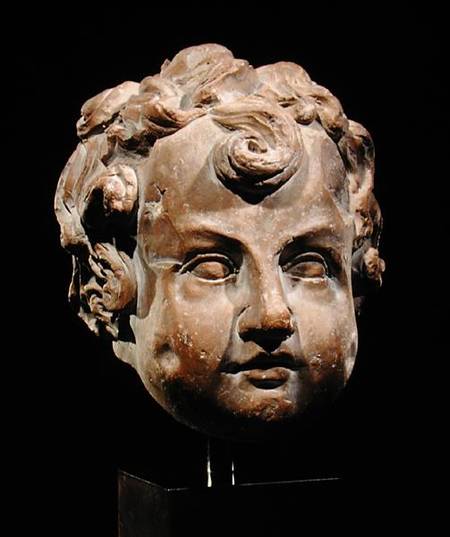 Head of a Boy from Scuola pittorica italiana