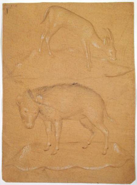 Study of a goat and a boar from Scuola pittorica italiana