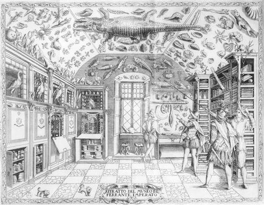 The Natural History Museum of Emperor Ferdinand III from 'Historia Naturale' by Ferrante Imperato (1 from Italian School, (17th century)