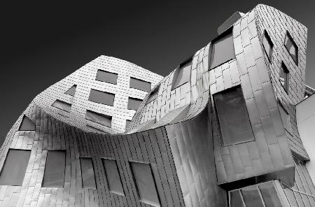 Frank Gehrys ikonische Kurve