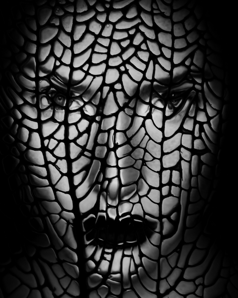Gesicht abstrakt from Ivan Lesica