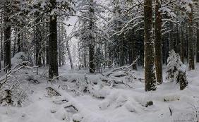 I.I.Shishkin / Winter / 1890